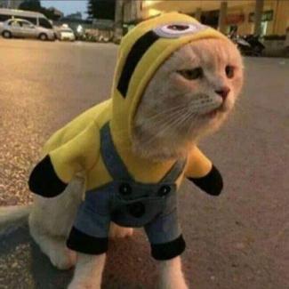 计算机卷卷学长