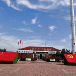 会发光的萤火虫