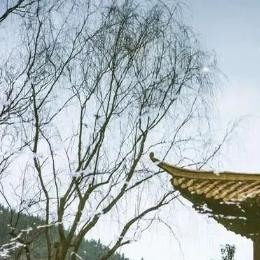 正能量科普一下