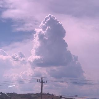 写了么故事