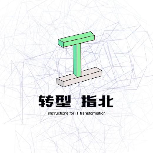 IT转型指北