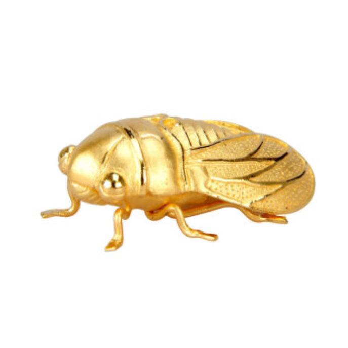 金蝉故事汇