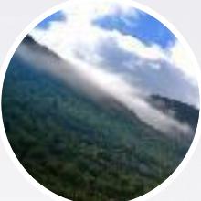 猴哥天天盘搞笑