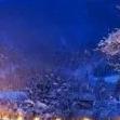 雨姐故事
