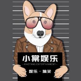 小棠的娱乐世界