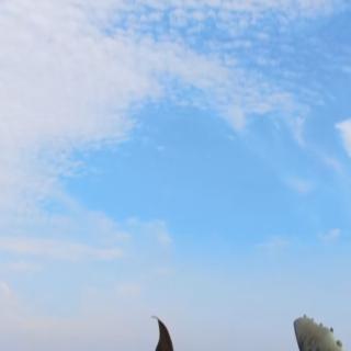 乘风破浪的洋妈