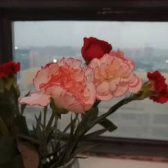 晓唯的生活日记