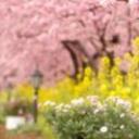 苏苏的娱乐世界1