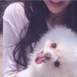 捉住一绒蒲公英