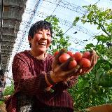 兰婶爱养身