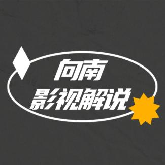 向南影视解说