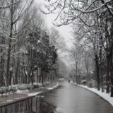 Me全村人的希望