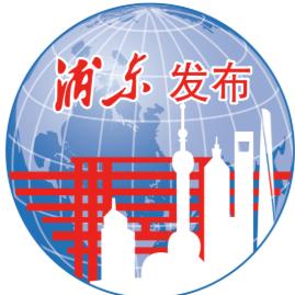 浦东发布