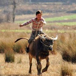 紫妞外甥在农村