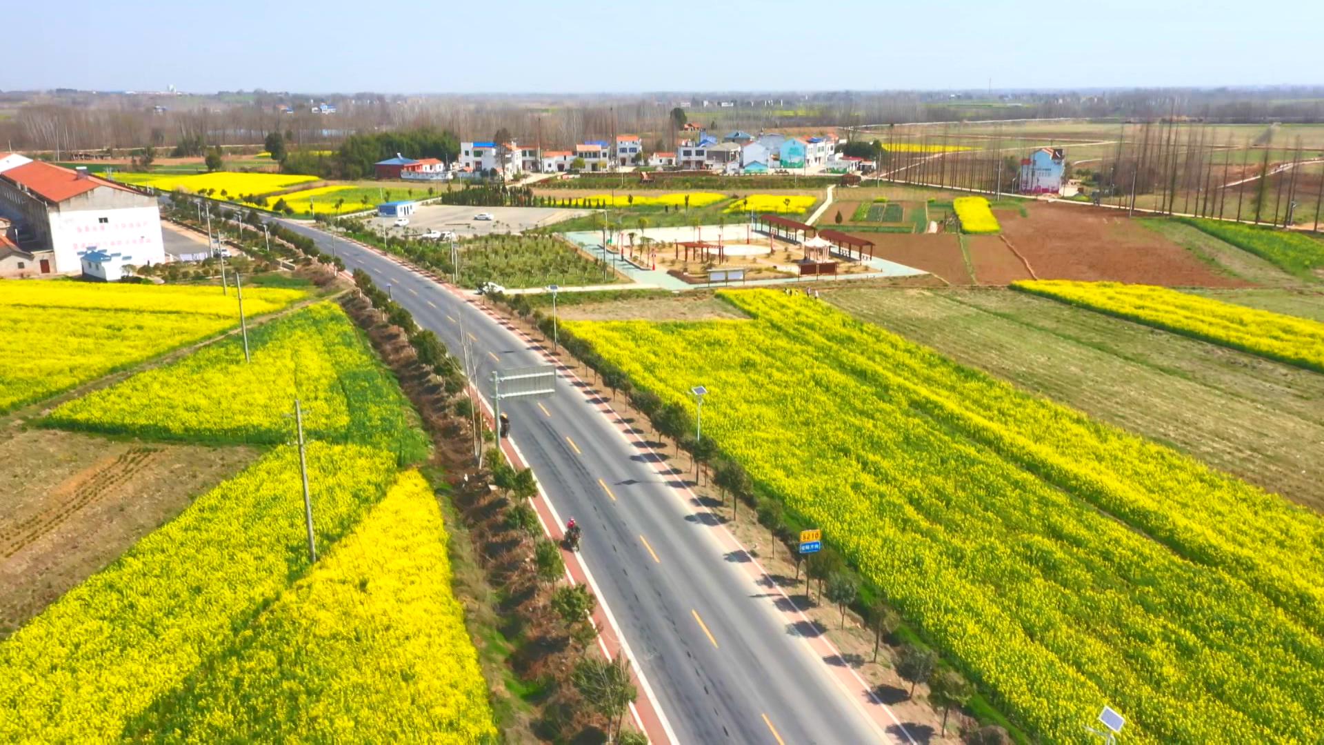 应城市杨河镇试点图片