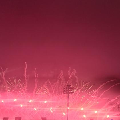 以梦为马越骑越傻