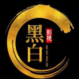 黑白影视V