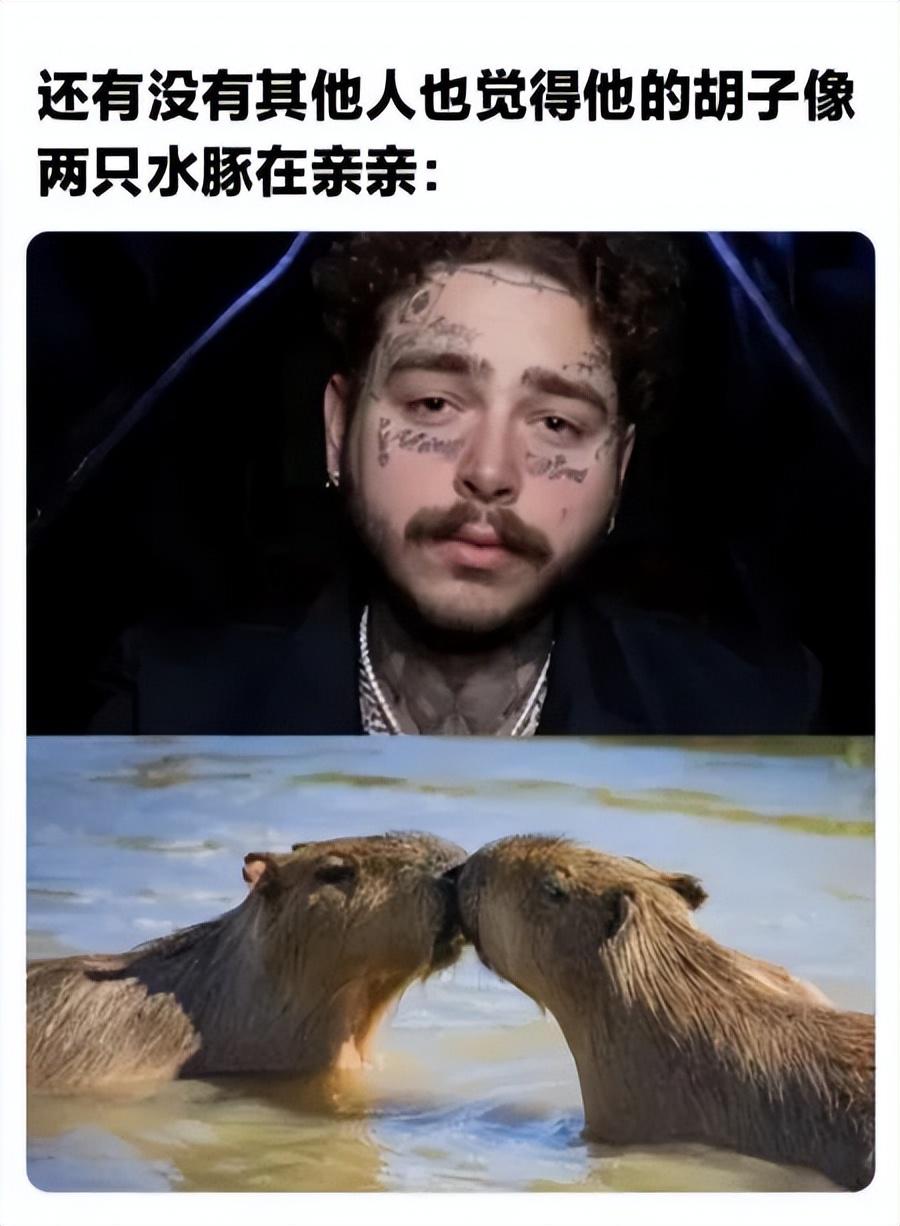 梗图meme 坐在包厢里的专属位置上睥睨着其它食物的奶油