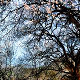 黄小仙的搞笑视频