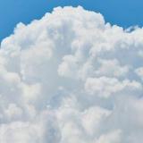 小胖诉说历史日记