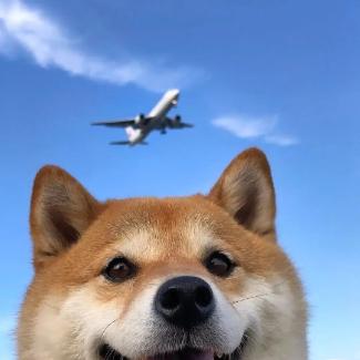 见月舍人