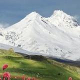 知心好友小石狮