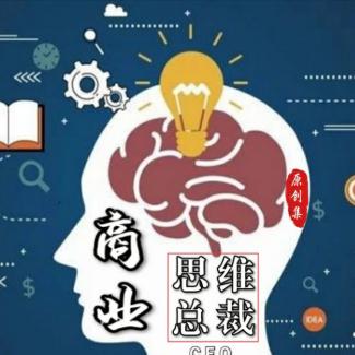 商业思维总裁