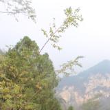 杂谈说天下
