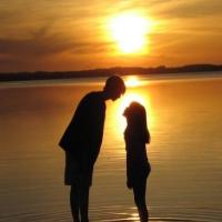 嘟嘟熊的情感小屋