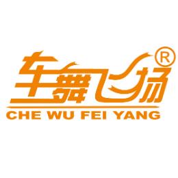 HNTV车舞飞扬