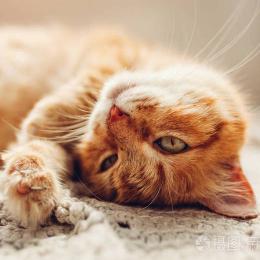 躲在云里的舒适生活