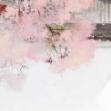 管二妹小故事