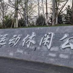 太极拳养生推手