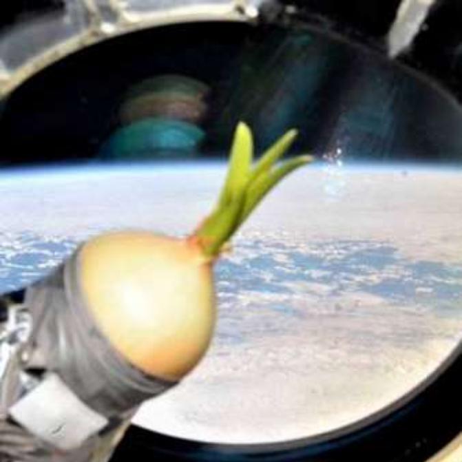 来自太空的洋葱