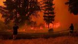 智利向邻国求援！野火致23人死亡，烧毁面积比美国费城还要大