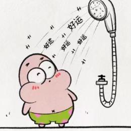 小小的一只雨燕