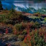 唐俊凯动漫推荐