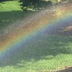 倒霉催哥的日常