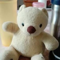 一条行走在岸上的鱼