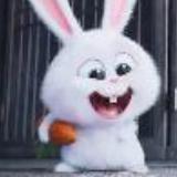 一本正经的小兔