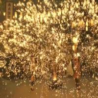 进取小七说生活