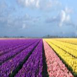 梦在奔驰观天下聊世间百态