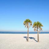 缤纷世界之特色砖