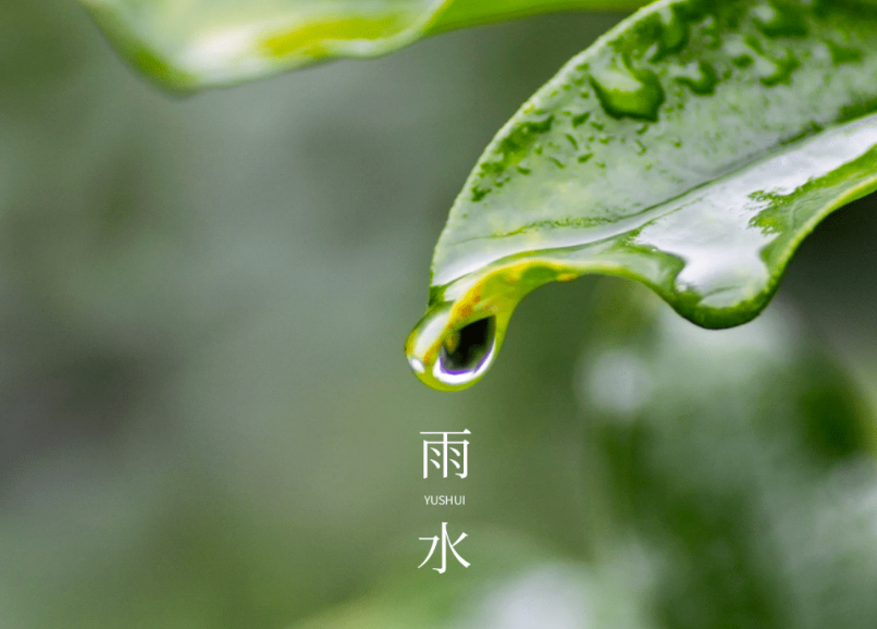 【诗词鉴赏】春雨至 万物生,在诗词里,迎一片春来,等一场花开