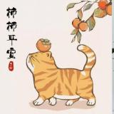 书与生活READ