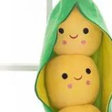 豆豆说门窗门窗顾问