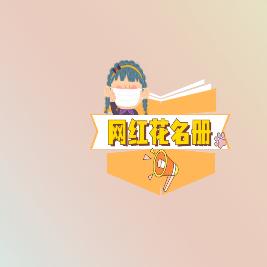 网红花名册