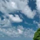 形势控盘老奉解图录