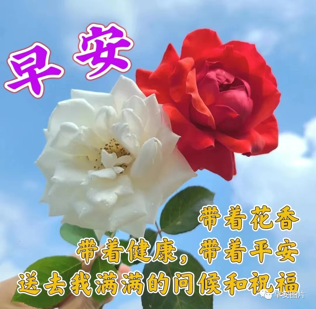 早安温馨的祝福语