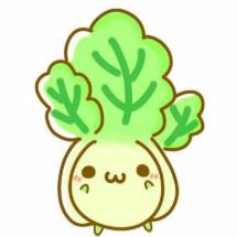 每日分享健康小知识